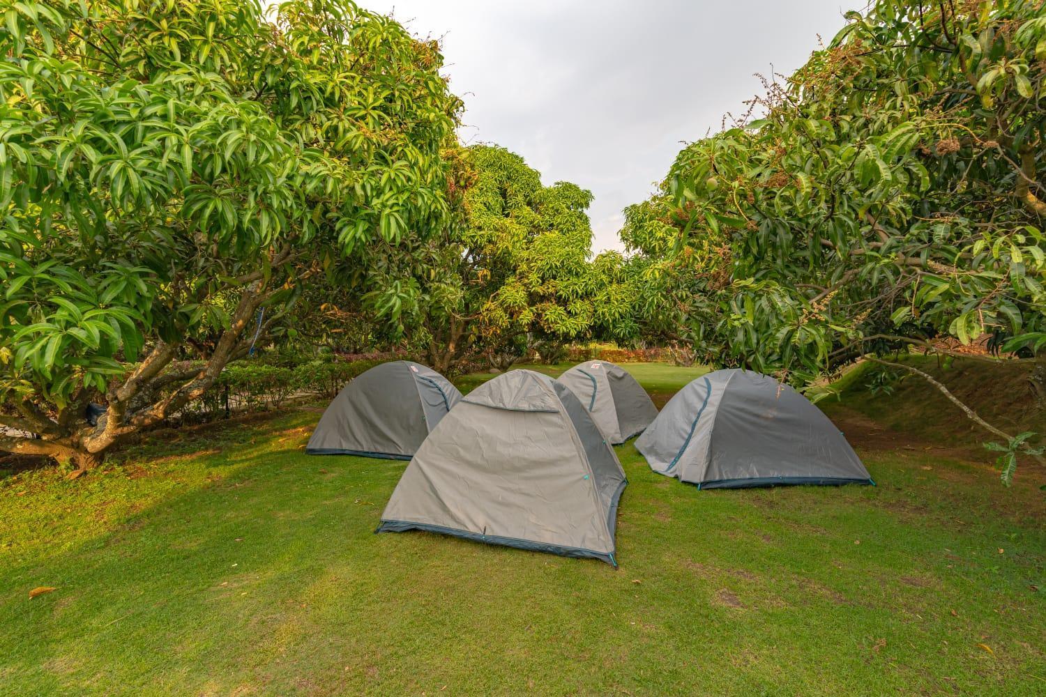 Q Mango Resort Ramanagara Exterior photo